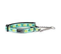 RC Pet Products Training Martingale Dog Collar, Medium, Pineapple Parade