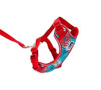 RC Pets Adventure Kitty Harness, Cat Walking Harness, Small, Maldives