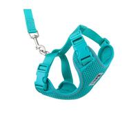 RC Pets Adventure Kitty Harness Includes Adjustable, Airmesh Fabric, 6' Leash and D-Ring Cat Walking Harness | Teal, Small