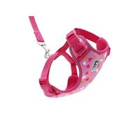 RC Pets Adventure Kitty Harness Includes Adjustable, Airmesh Fabric, 6' Leash and D-Ring Cat Walking Harness | Lil Heart, Small