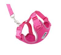 RC Pets, Adventure Kitty Harness Raspberry Small, 1 Count