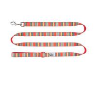 RC Pets Dog Leash | 6ft Leash with Durable Grip, Reflective Label & Accessory Ring | 3/4-Inch Wide, Soft Webbing | Multi Stripes