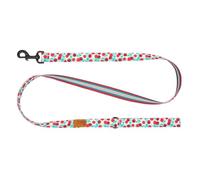 RC Pets Eco Leash | 5ft Dog Leash with Durable Grip, 1-Inch Wide Eco Webbing | Cherry Picnic