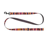 RC Pets Eco Leash | 5ft Dog Leash with Durable Grip, 1-Inch Wide Eco Webbing | Cosmic Aura