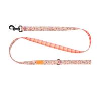 RC Pets Eco Leash | 5ft Dog Leash with Durable Grip, 1-Inch Wide Eco Webbing | Daisy Joy