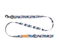 RC Pets Eco Leash | 5ft Dog Leash with Durable Grip, 1-Inch Wide Eco Webbing | Mystic Monstera