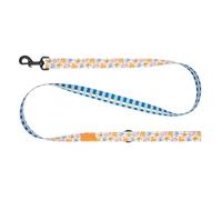 RC Pets Eco Leash | 5ft Dog Leash with Durable Grip, 3/4-Inch Wide Eco Webbing | Pup-Moji