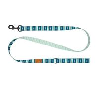 RC Pets Eco Leash | 5ft Dog Leash with Durable Grip, 3/4-Inch Wide Eco Webbing | Surfside