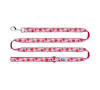 RC Pets Fun, Durable, Sporty Dog Leash-6 Feet x 1/2 Inch | Strawberries