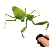 RC Praying Mantis, Realistic Remote Control Insect Toy with Infrared Control, Electric Animal Vehicle for Kids, Science Education and Outdoor Pl