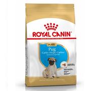 RC Pug Puppy - 1.5KG