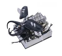 RCARTOYRTR Metal Mechanical Beetle Model, Dynamic Mini V8 Simulation Bionic Insect Engine Model, Ready-to-Play Cyber-Punk Desktop Decor & Gift