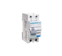 RCBO 2P B25A 0.03A Type A ADA925D