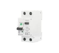 RCBO Type A 1P+N Residual Automatic Circuit Breaker With Over Current Leakage Protection 6KA 2P DPN 30mA EKL13,practical