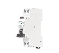 RCBO Type A Residual Automatic Circuit Breaker 6KA 1P+N 2P 16a 20a Curve CWith Over Current Leakage Protection 30mA(40A)