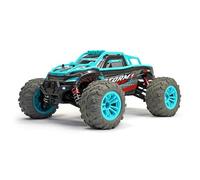 RCG Racing Storm Rider 1/16 Buggy - Blue