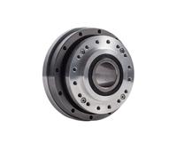 RCGKNNMUZ Hollow Harmonic Reducer Gearbox Drive High Precision in Stock Full Seal HST14 17 20 25 32 40 Reduction Gear Ratio 50 80 100(Ratio 50,Hollow HST17-III)