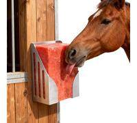 RCOAIMT Salt Block Holder for Horses