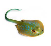 RCULWPLP Figure Marine Creature Model Educational Animal Figurine Realistic Textured Design With Hand-Painted Touch For Kids' Learning Suitable for Aquarium, Bluespotted Ray