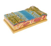 RCULWPLP Plate Tectonics Display Model Geology Educational Toy