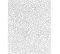 Rd80009 Anaglypta Paintable Luxury Vinyl 'fibrous'