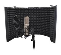 RØDE NT2 A large-diaphragm condenser microphone with reflection filter