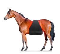 RDHMJSJAZ For Horse Muscle Recovery, LED Red Light Therapy For Horse Leg Pain, Horse Leg Therapy Kit