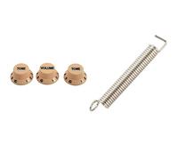 Rdjumpdjo 3 Pieces Steel Guitar Tremolo Bridge Tension Springs & Cream Dark Blue Font 1 Volume & 2 Tone Guitar Control Knobs