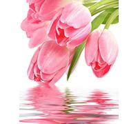 Rdjumpdjo 500Pcs Guitar Pickguard Screws for Strat/Tele Electric Guitar Bass Silver