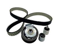 RDWQDGJG Timing Belt Kit Compatible With A6L C6 2. 0T A4 A3 TT VI Includes Tensioner Guide Pulley And Accessories