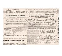 Re-Design Tissue Paper REDESGN FLRL, Floral Text