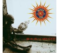 Re Mix In A Carnation