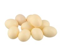 ReachMall 10 Pack Faux Chicken Eggs, Plastic Fake Eggs for Hens to Lay, Nest Training Mannequin Eggs for Poultry, DIY Easter Crafts and Educational Toys, 5.5x4.5cm