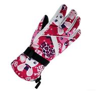 ReachMall Ladies Thermal Gloves with Sensitive Touch Screen Function Windproof Insulated Winter Mittens for Driving Motorcycle Snowboarding Walking Unisex Fit(D)