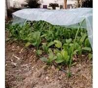 ReachMall Weatherproof Polythene Sheet for Safeguarding Your Garden from the Elements (2 m)