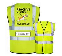 Reactive Dog Hi Vis Vest, K9 Training Reflective Clothing (Pink, Small)