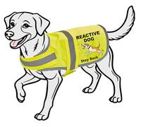 Reactive Dog reflective Vest, Hi Vis Jacket, K9 hi-viz, Keep you Safe on the Roads, Safety dog clothing. (Silver, S)