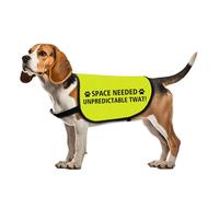 Reactive Space Dog Jacket - Needed for Unpredictable Twats - Dog Walking Slogan - Warning Vest (Large)