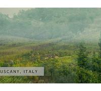 Read Between the Wines