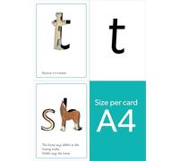 Read Write Inc. Phonics: A4 Speed Sounds Cards Set 1 (Single Pack)