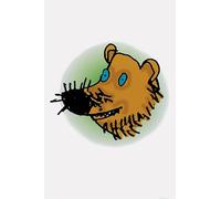 Read Write Inc. Phonics: Picture Sounds Cards School Pack of 10 x 118