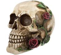 READAEER Life Size Skeleton Replica Realistic Human Skull Head Bone Model (Rose)