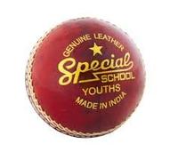Readers Special School Junior Cricket Ball - PACK OF 2 BALLS