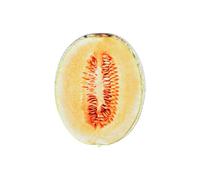 Reading Acrylic Translucent Fruit Marker Decorative Page Accessory for Classroom Desk Reference Journals Decorative Page Saver Translucent Stationery Marker Reading Journal Accessory Book Tab