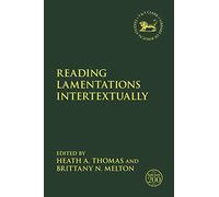Reading Lamentations Intertextually (The Library of Hebrew Bible/Old Testament Studies)