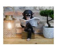Reading Monkey Ornament Statue Black Resin Animal Chimp Home Decor Novelty Gift, H: 28cm W: 18cm D: 16cm