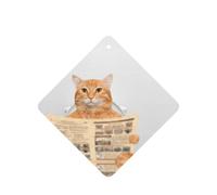 Reading Newspaper Kitten Printing 10 Pieces Air Freshener Car Hanging Cards Air Freshener Sheets With Rope For Cars Home