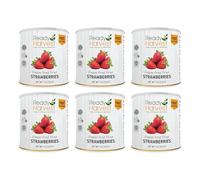 Ready Harvest Freeze Dried Strawberries Organic | Healthy Snacks for Adults, Kids Snacks | Hurricane preparedness items as survival food | Pantry Staples | #10 Can | 30 Year Shelf Life | 6 Cans