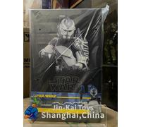 Ready ship Hot Toys TMS141 Star Wars: The Clone Wars 1/6 Clone Commander Wolffe