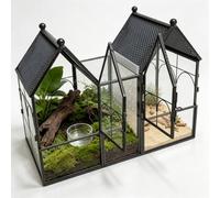 Ready-to-Use 2-House Jumping Spider Enclosure with Vents &Adjustable Baffle, 9.84"×8.27"×5.51" House-Shaped Glass Terrarium, Habitat for Praying Mantis, Snails, Insect or Succulent Plants Home Decor